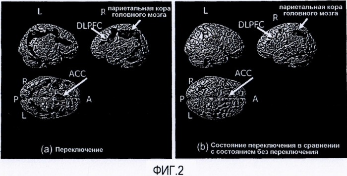 Способы и композиции для улучшения когнитивной функции (патент 2496492)