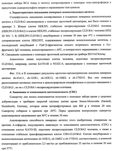 Моноклональные антитела к клаудину-18 для лечения рака (патент 2445319)