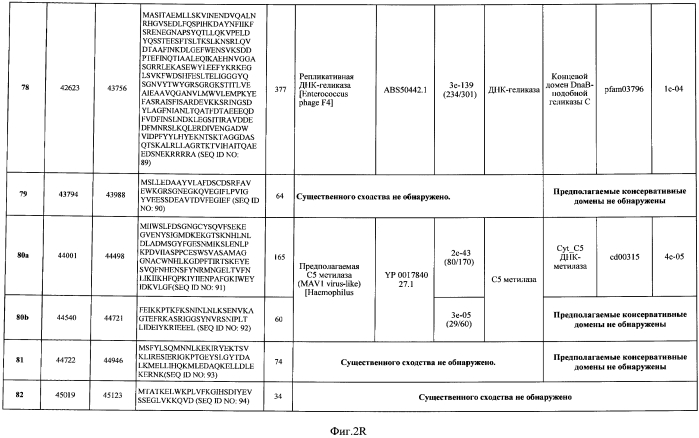 Бактериофаг, обладающий активностью против pseudomonas aeruginosa, белки бактериофага и способы их применения (патент 2580248)