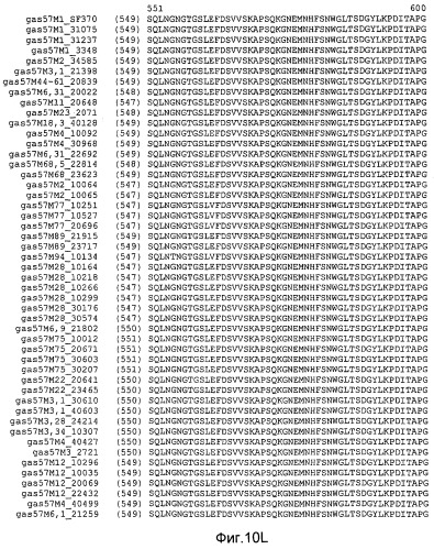 Мутантные антигены gas57 и антитела против gas57 (патент 2471497)
