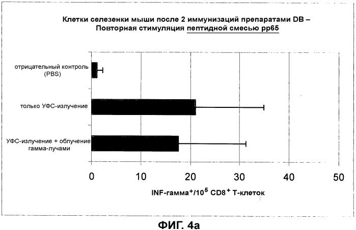 Композиция, содержащая частицы hcmv (патент 2505314)
