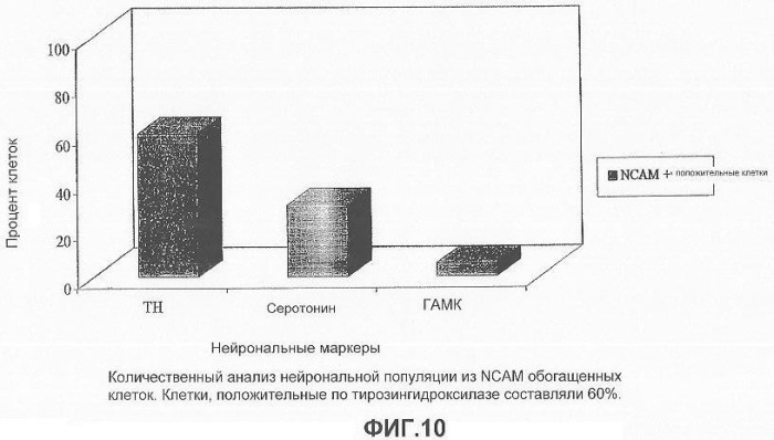 Получение терминально дифференцированных дофаминергических нейронов из эмбриональных стволовых клеток человека (патент 2345133)