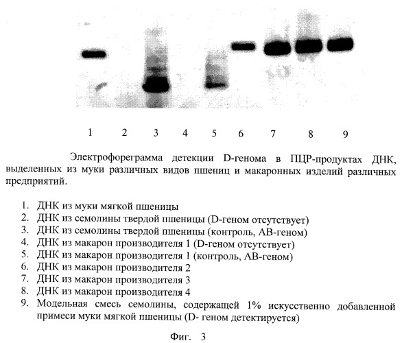 Способ определения примеси муки мягкой пшеницы в крупке (семолине) твердой пшеницы и в готовой продукции макаронной промышленности (патент 2249046)