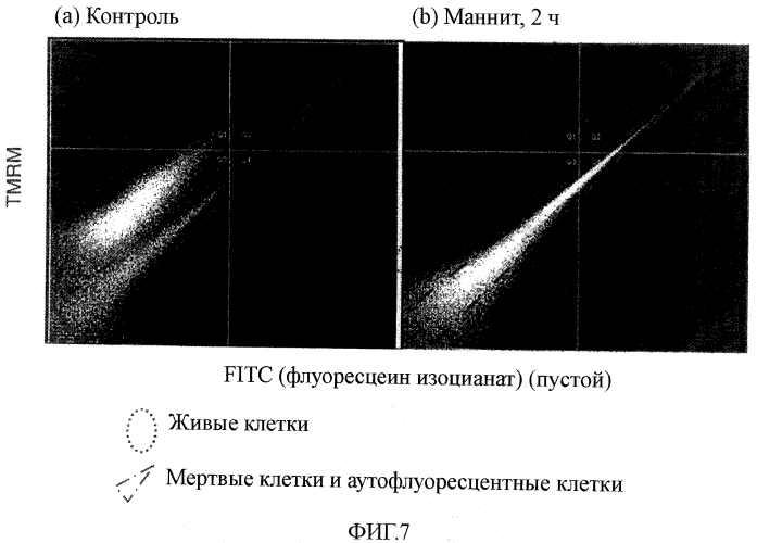 Способ индукции гибели плюрипотентных стволовых клеток и дифференцированных клеток, отличных от кардиомиоцитов (патент 2551778)