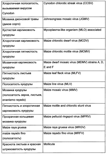 Новые последовательности нуклеиновых кислот и их применение в способах достижения устойчивости к патогенам в растениях (патент 2346985)