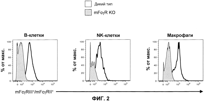 Гуманизированные fcγr мыши (патент 2549695)