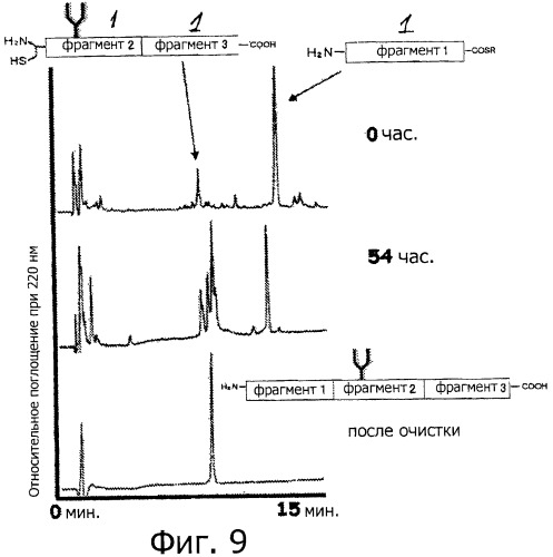 Способ получения гликопротеина и способ скрининга (патент 2520240)