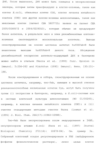 Антитела, сконструированные на основе цистеинов, и их конъюгаты (патент 2412947)