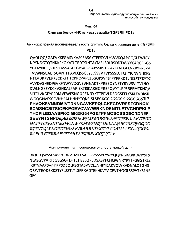 Нацеленные/иммуномодулирующие слитые белки и способы их получения (патент 2636342)