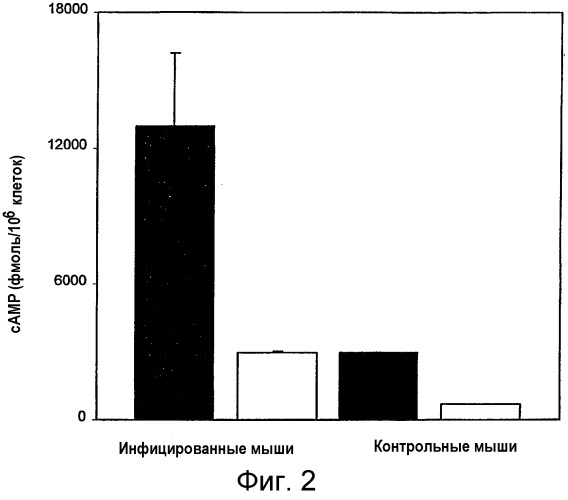 Применение ингибиторов сох-2 для предупреждения иммунодефицита (патент 2303452)