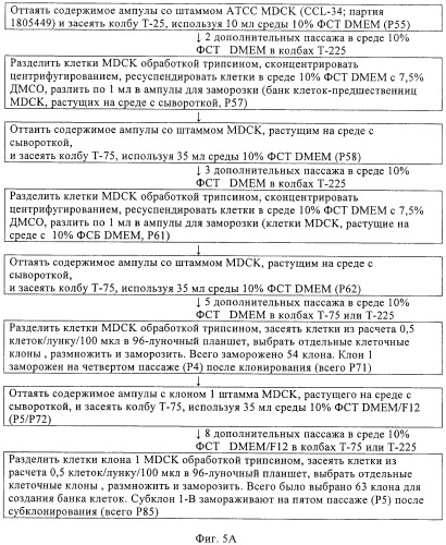 Линии клеток почки собаки майдин-дэрби (mdck), поддерживающие рост вирусов до высоких титров, и способ применения этих клеток в биореакторе (патент 2487935)