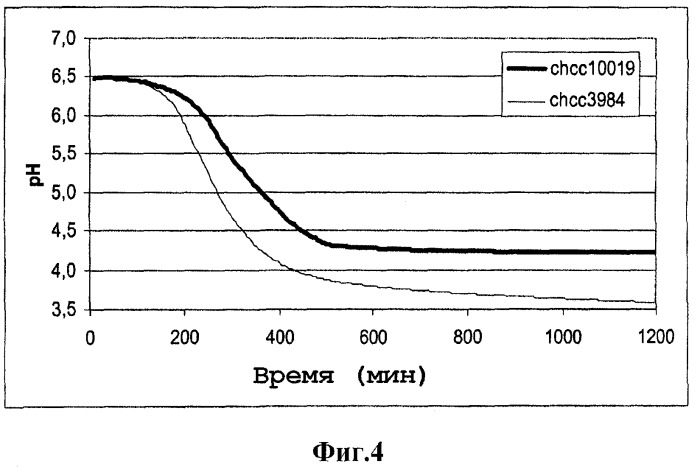 Способ получения штамма lactobacillus delbrueckii subsp. bulgaricus c низкой степенью постпродуцирования молочной кислоты, полученные текстурирующие штаммы (варианты), молочный продукт и способ его получения с использованием текстурирующих штаммов (патент 2446209)