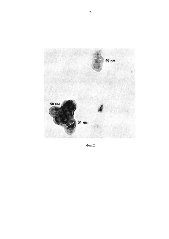 Рекомбинантный ген l1hpv16, рекомбинантная плазмида pqe-l1/16, белок l1hpv16 и их применение (патент 2628693)