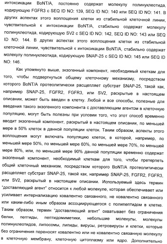 Иммунологические анализы активности ботулинического токсина серотипа а (патент 2491293)