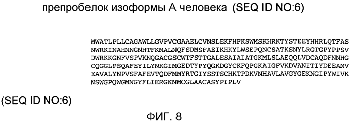 Применение катепсина н (патент 2574005)