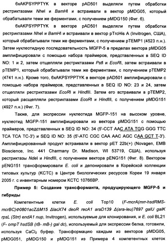 Биоадгезив мидии (патент 2349599)
