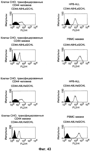 Cd3-эпсилон-связывающий домен с межвидовой специфичностью (патент 2561457)