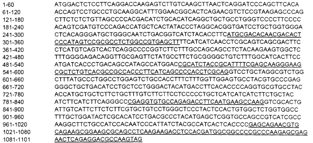 Светочувствительный химерный белок gpcr (патент 2637367)