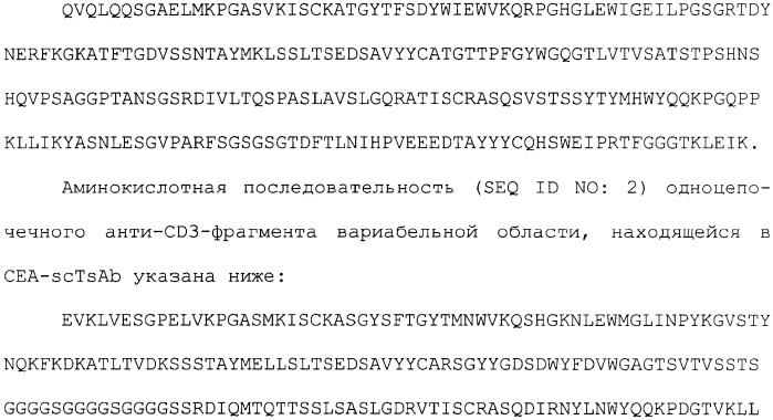 Одноцепочечное триспецифическое антитело рекомбинант анти-сеа/cd3/cd28, полученный путем генетической инженерии (патент 2361878)