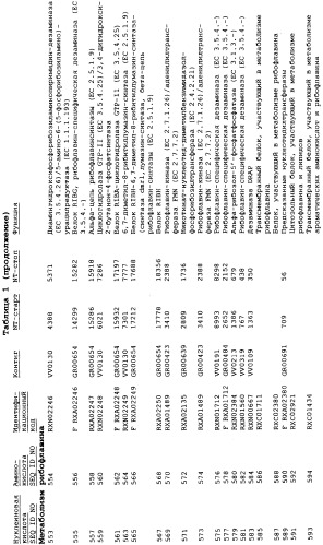 Гены corynebacterium glutamicum, кодирующие белки метаболических путей (патент 2306339)