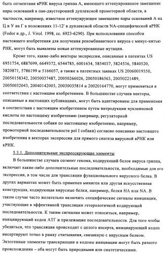 Способы и композиции для экспрессии антисмысловой вирусной рнк в клетках собаки (патент 2457250)