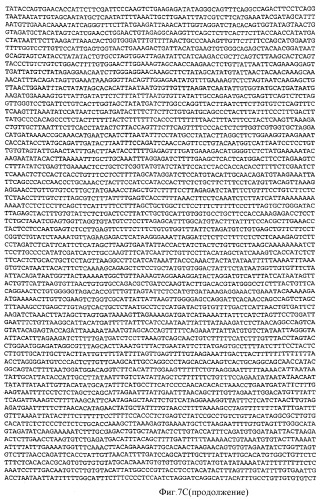 Применение рам (патент 2345785)