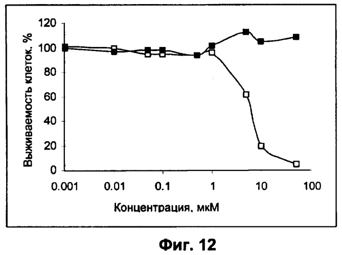 Водорастворимые анионсодержащие производные бактериохлорофилла и их применение (патент 2353624)