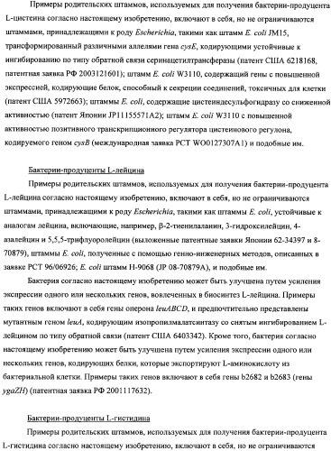 Мутантная iib/iic субъединица глюкозоспецифической пермеазы системы pts, фрагмент днк, бактерия, принадлежащая к роду escherichia, - продуцент l-треонина и способ получения l-треонина (патент 2335536)