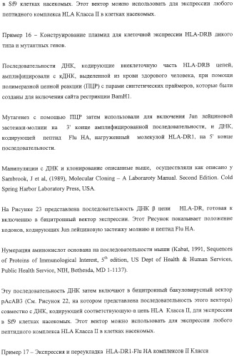 Экспонирование т-клеточных рецепторов (патент 2346004)