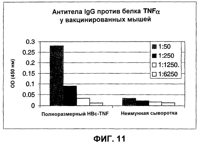 Композиция и способ для иммунизации, способ продуцирования неприродного, упорядоченного и повторяющегося массива антигенов и оболочечный белок (патент 2295973)