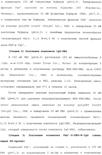 Физиологически активный полипептидный конъюгат, обладающий пролонгированным периодом полувыведения in vivo (патент 2312868)