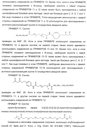 Соединения агонисты рецептора глюкагоноподобного белка-1 (glp-1r) (патент 2432361)