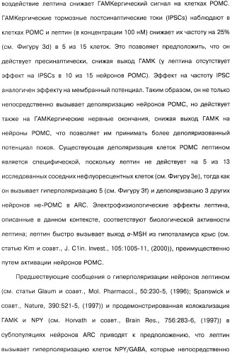 Способ модификации пищевого поведения и применение pyy или его агониста в качестве средства для модификации пищевого поведения (патент 2317104)