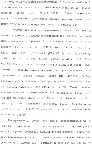 Гены corynebacterium glutamicum, кодирующие белки системы фосфоенолпируват-сахар-фосфотрансферазы (патент 2326170)