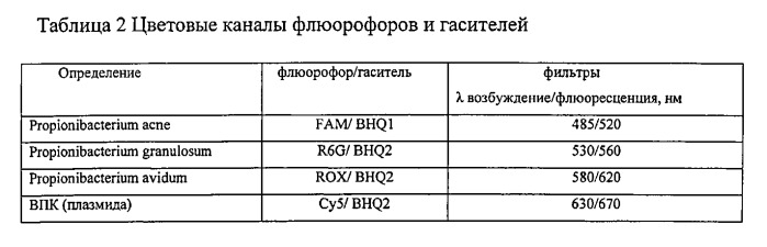 Способ количественного определения видового состава пропионовых бактерий, обитающих на коже человека (патент 2542477)