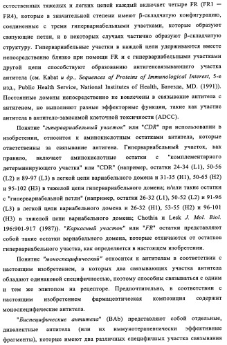 Биспецифические антитела к erb-b и их применение для лечения опухолей (патент 2349340)