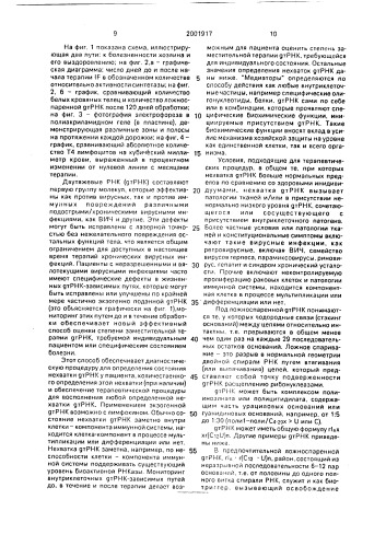 Способ лечения патологических состояний, сопровождающихся нехваткой gt рнк (патент 2001917)