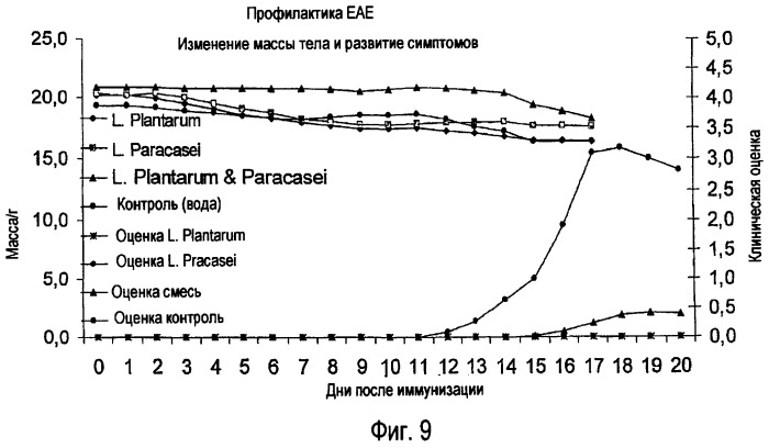 Применение lactobacillus для лечения аутоиммунных заболеваний (патент 2417092)