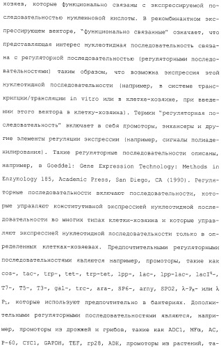 Гены corynebacterium glutamicum, кодирующие белки, участвующие в метаболизме углерода и продуцировании энергии (патент 2310686)