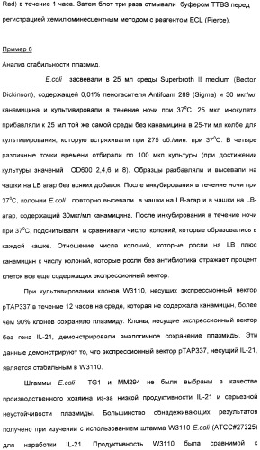 Продуцирование il-21 в прокариотических клетках-хозяевах (патент 2354703)