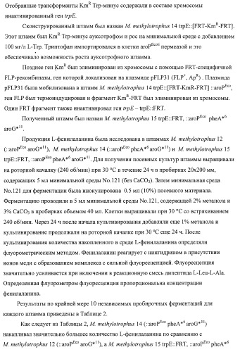 Способ придания бактерии, принадлежащей к роду methylophilus, ауксотрофности по l-аминокислоте, бактерия, принадлежащая к роду methylophilus, и способ продукции l-аминокислоты (патент 2395569)