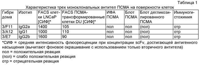 Моноклональные антитела и одноцепочечные фрагменты антител против клеточно-поверхностного специфического для простаты мембранного антигена (патент 2458073)