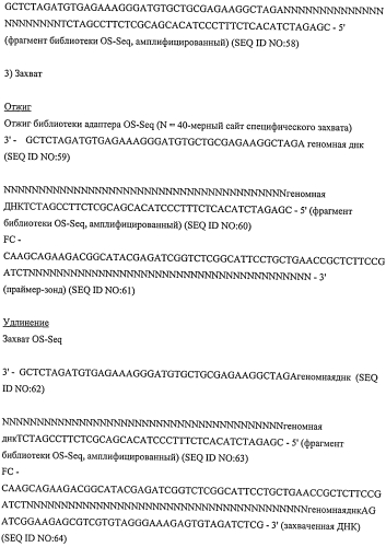 Прямой захват, амплификация и секвенирование днк-мишени с использованием иммобилизированных праймеров (патент 2565550)