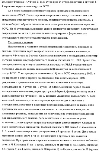 Поливалентные иммуногенные композиции pcv2 и способы получения таких композиций (патент 2488407)