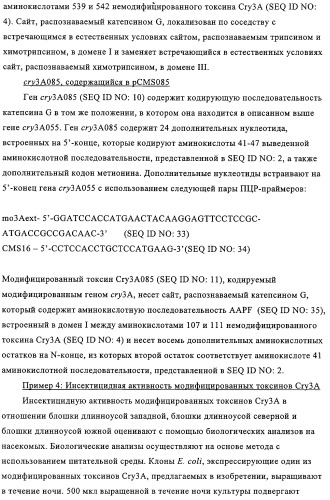 Модифицированные токсины cry3a и кодирующие их нуклеотидные последовательности (патент 2314345)