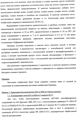 Способ получения гидроксилированной аминокислоты (варианты) и микроорганизм, трансформированный днк, кодирующей диоксигеназу (патент 2460779)