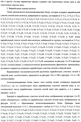 Белки, связывающие антиген фактор роста, подобный гепаринсвязывающему эпидермальному фактору роста (патент 2504551)