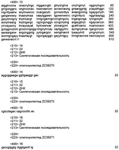 Интерферон-подобный белок zcyto21 (патент 2292394)