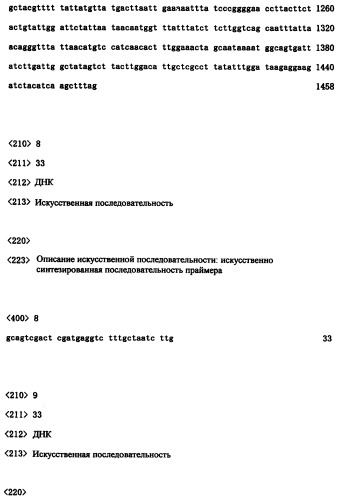 Ген синтеза клеточной стенки грибков (патент 2286387)