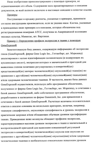 Композиции и способы диагностики и лечения опухоли (патент 2430112)